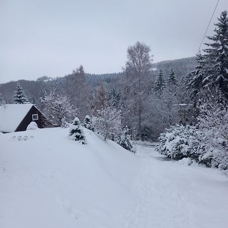 Český Jiřetín Hygge Chaloupka V Horach 빌라 외부 사진