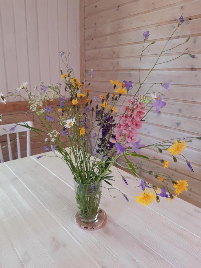 Český Jiřetín Hygge Chaloupka V Horach 빌라 외부 사진