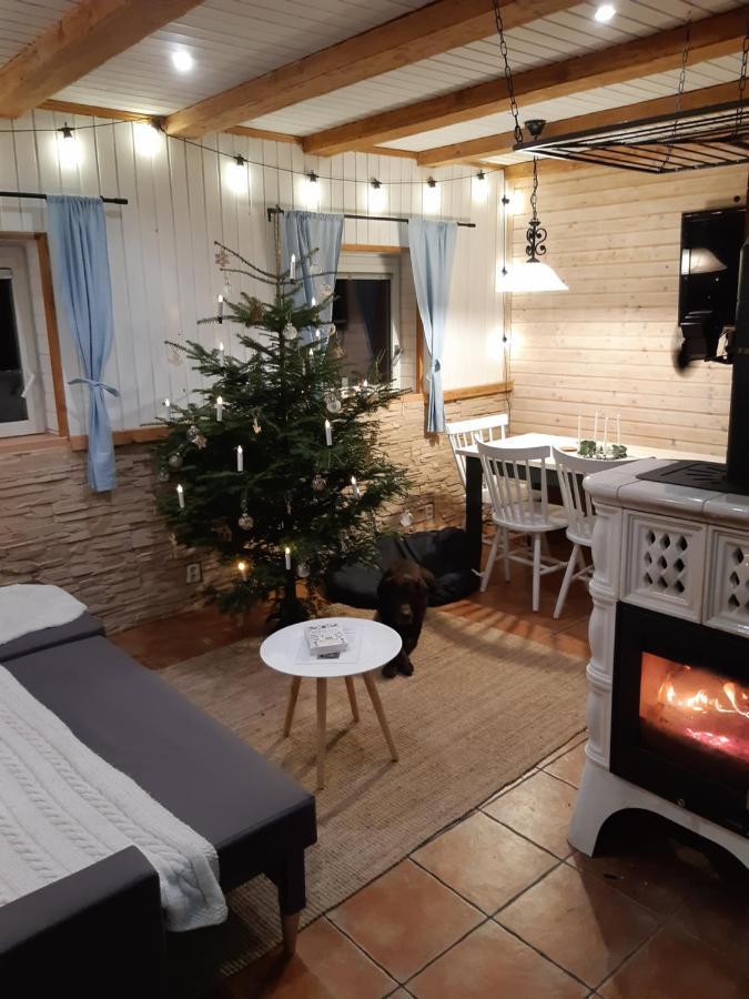 Český Jiřetín Hygge Chaloupka V Horach 빌라 외부 사진