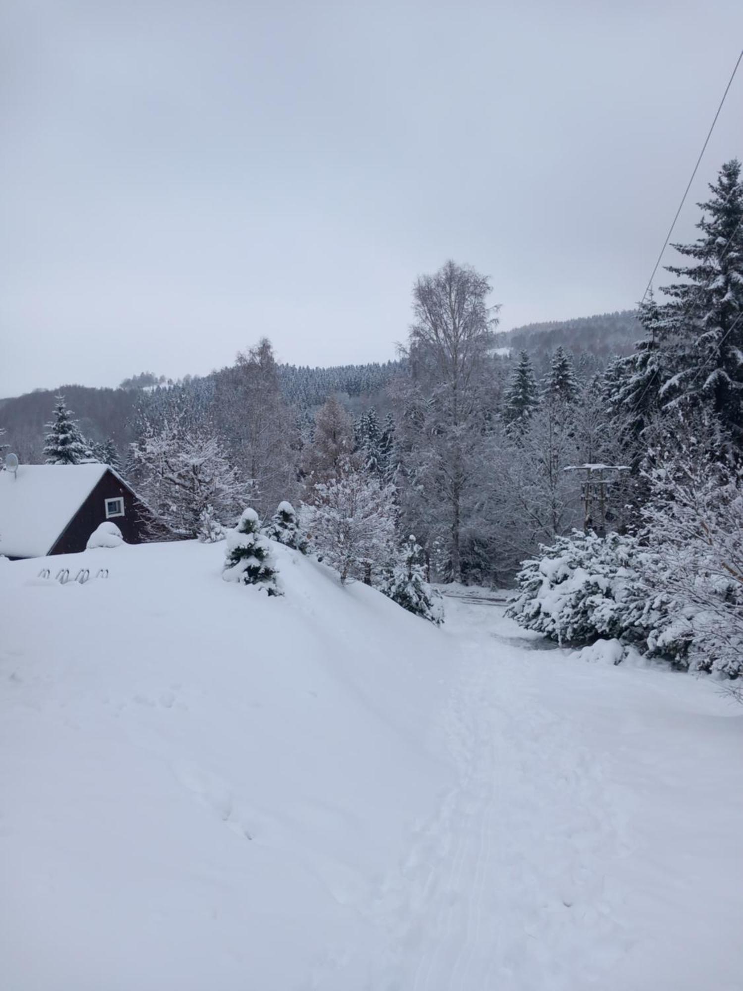 Český Jiřetín Hygge Chaloupka V Horach 빌라 외부 사진